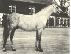 Doktryner Halter photo