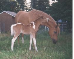 Imari Rose with Aria photo