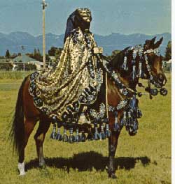 Jurneeka++ in Costume photo