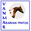 Return to entry page with VanMar Logo